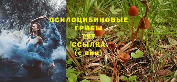 МДМА Богданович