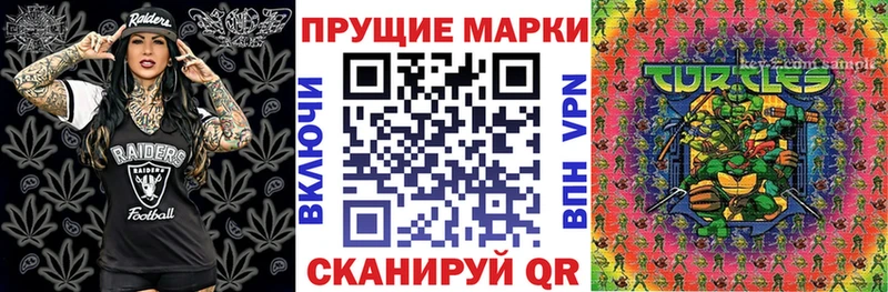 Марки N-bome 1,5мг  сайты даркнета какой сайт  OMG ссылка  Каневская  купить наркотики цена 