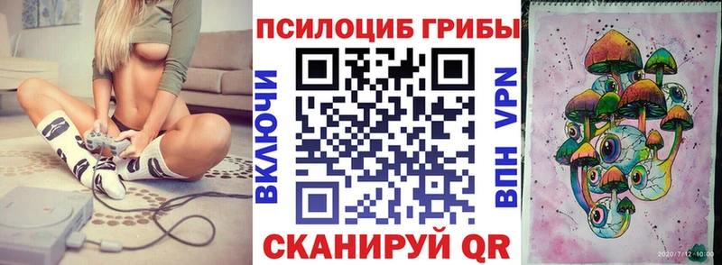 Псилоцибиновые грибы Psilocybe  Каневская 